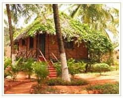 Slider image (5) Indus Valley Ayurveda Center